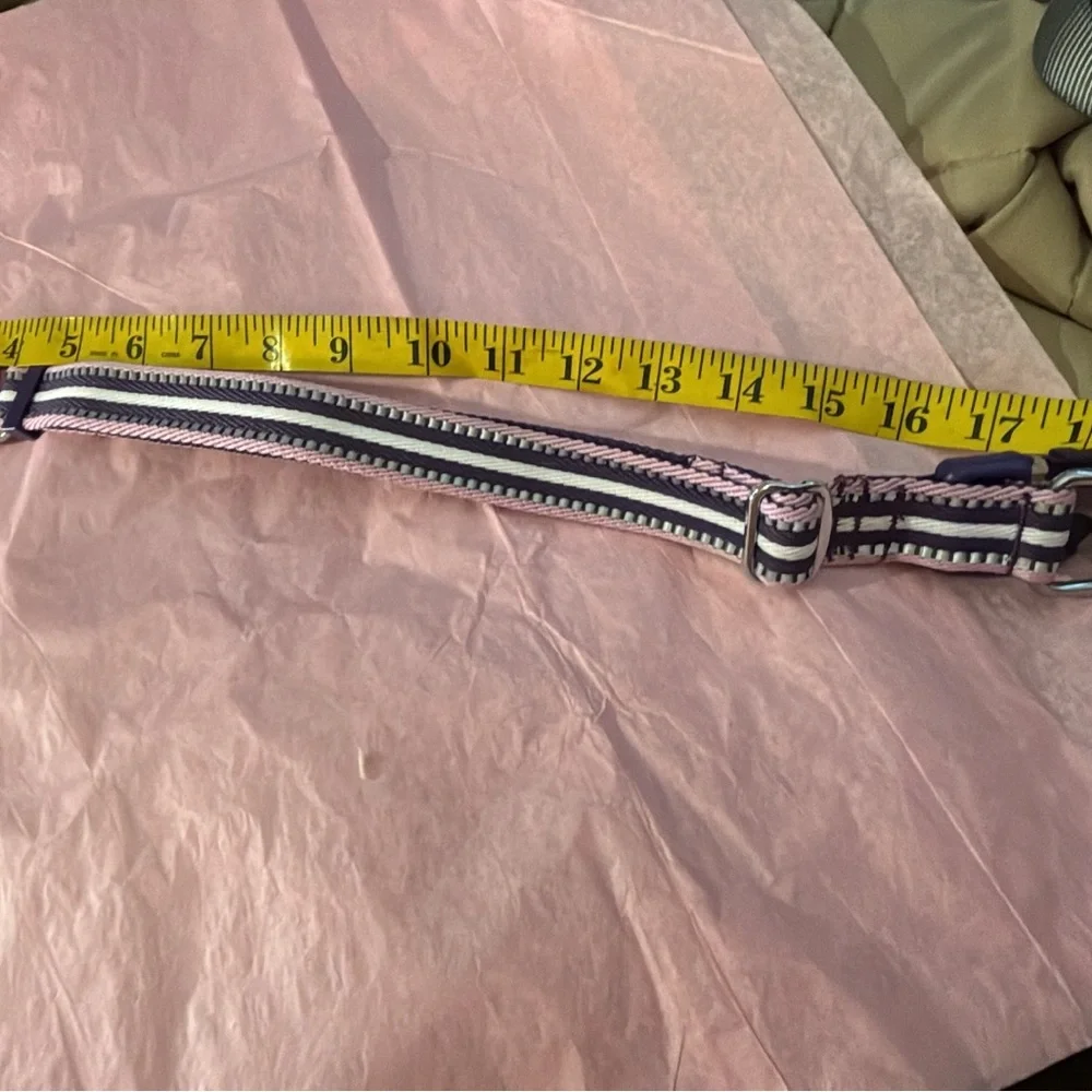 Blueberry Pet 3M Reflective Dog Collars | Adjustable Dog Collar w/Multi-Colored - Picture 5 of 11